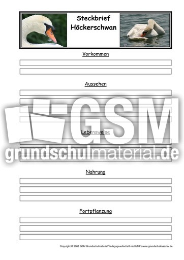 Steckbriefvorlage-Höckerschwan.pdf